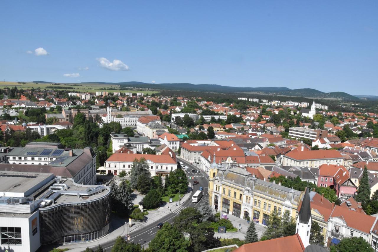 Panorama View Family Apartment Veszprem Exterior photo